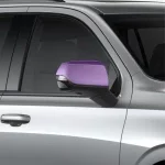 monster auto lab vancouver paint protection film add on side mirrors